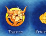 Zgodność Barana i Byka: nierozłączna para z przeciwstawnymi postaciami Zgodność znaków zodiaku ona jest Bykiem, on jest Baranem