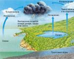 El ciclo del agua en la biosfera.