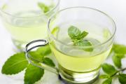 Can mint be used during pregnancy?